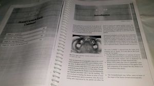 Textbook of Pedodontics 2nd Edition