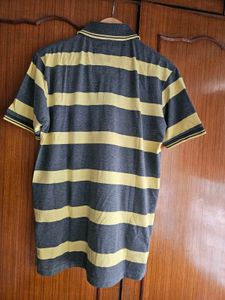 Imported Striped Polo T-Shirt