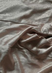 Vintage Shimmering Champagne Dress