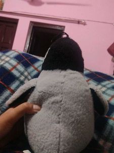 Cute Penguin Plush Toy