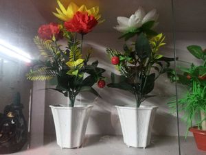 Decorated Vases