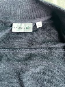 Lacoste Navy Bomber Jacket