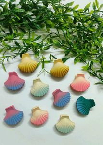 Hair accessories combo of 10 clips