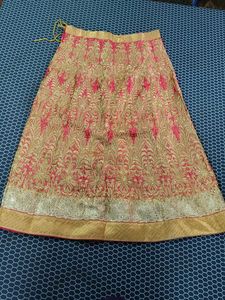 Embroidered Lehenga Skirt