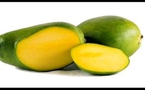 Pack 2 Big Mango &amp; NeverNever 🥭 Plant 🪴