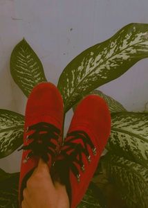 Women's Heel Boot 👢