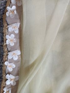 Plan Cream Beautiful Saree
