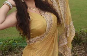 Elegant Yellow Saree with Delicate Border