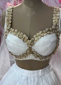 Elegant Embellished Lehenga Choli