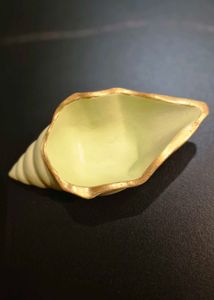 Seashell Decorative Showpiece