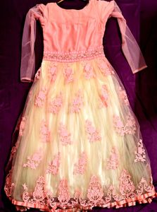 Elegant Pink &amp; Cream Embroidered Gown