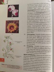 Biology Textbook
