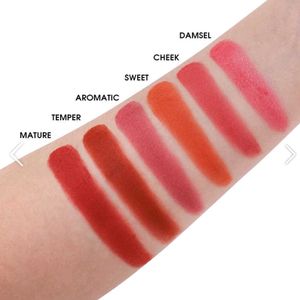 New Blush Palette with Brush