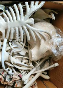 Skeleton System Made Of Synthetic Material
