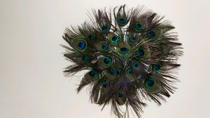 Wall Decorating Peace With Peacock Feather