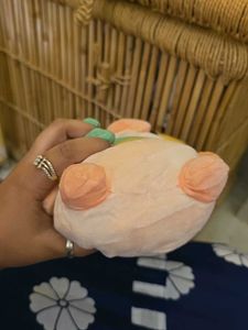 Cute Piggy Plushie