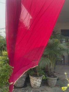 Vibrant Pink Dupatta with Gold Border