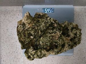 Texas Holey Rock for aquascaping.