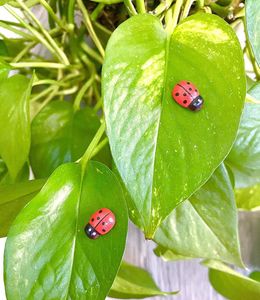 Set Of 6 Bug For Decor Purpose