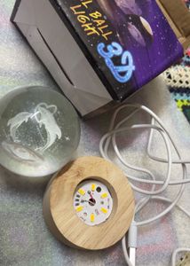 Dolphin Crystal Ball