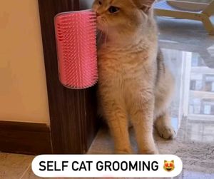Cat Self Grooming Corner Brush