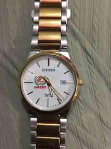 Citizen Two-Tone Watch