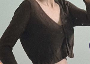 Brown Cropped Cardigan