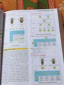 Essential Biology Book for Class 12