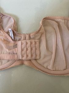 Sheer Pink Balconette Bra