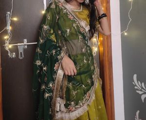 Embroidered Lehenga Choli Set