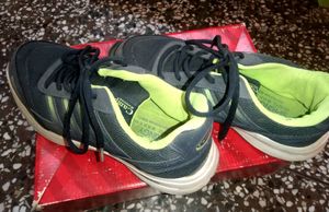 Campus Running Shoes ✅