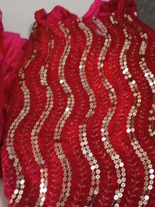 Stunning Sequin Lehenga Choli