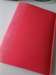 Folder With Transparent Plastic Sleeves