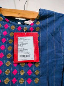 Biba Blue Striped Kurta