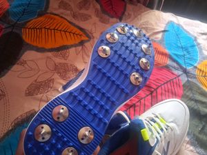 New Balance Men's White &amp; Blue Sports Shoes