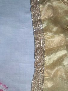 Elegant Red Dupatta with Gold Border(no blouse