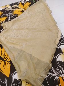 Beautiful Brown And Golden Bottom Combination