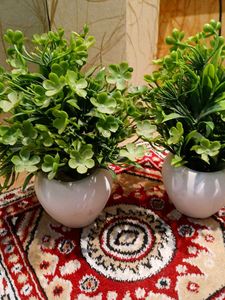 Set of 2 Artificial Green Plants