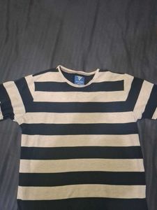 Striped Men's T-Shirt