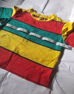 Multicolor Striped Women's Crop Top Girl's Tee 🌈