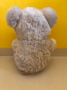 Cute Teddy Bear with "Be Mine" Heart