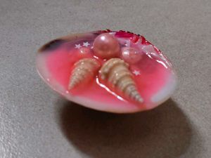 Unique Seashell fridge magnet with Pearls
