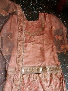 Bridal Peach Embroidered Lehenga Choli
