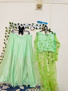 Beautiful Green Lehnga Choli