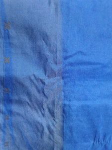 Blue &amp; Gold Trim Sari
