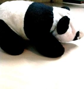 Pretty Panda