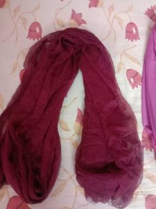 Combo Of 2 Dupatta