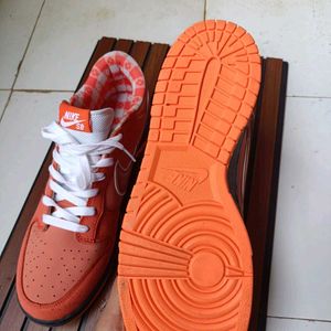 Nike SB Red Lobster New (Open For Negotiations)
