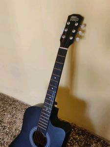 Acoustic Guitar