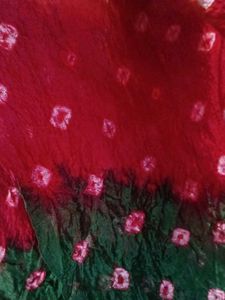 2 BEAUTIFUL DUPATTA